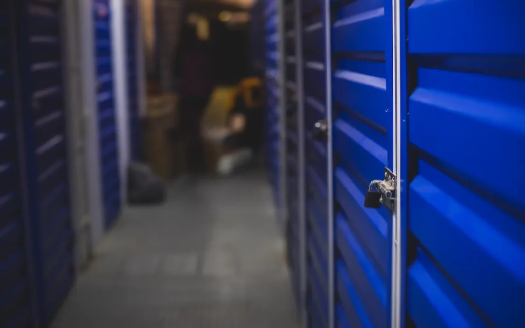 Climate-Controlled Storage: What It Is and Why You Might Need It